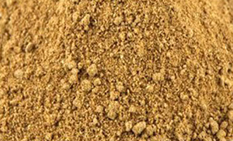 Aamchur Powder(Dehydrated)