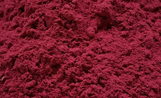 Beet Root Powder(Dehydrated)